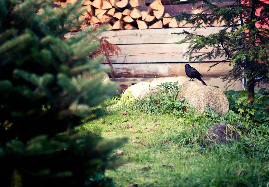 Willa Weronika Bed & Breakfast Zakopane Eksteriør bilde